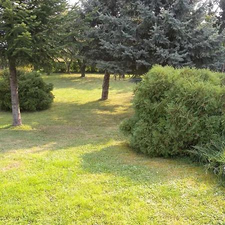 In - Balaton 19019 דירה Felsopahok