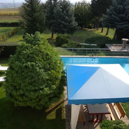 In - Balaton 19019 Felsopahok